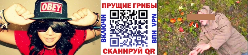 блэк спрут рабочий сайт купить закладку Кондрово Галлюциногенные грибы MAGIC MUSHROOMS